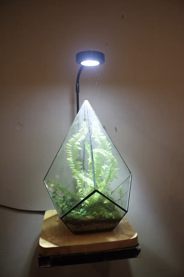 Best LED grow lights for winter indoor garden