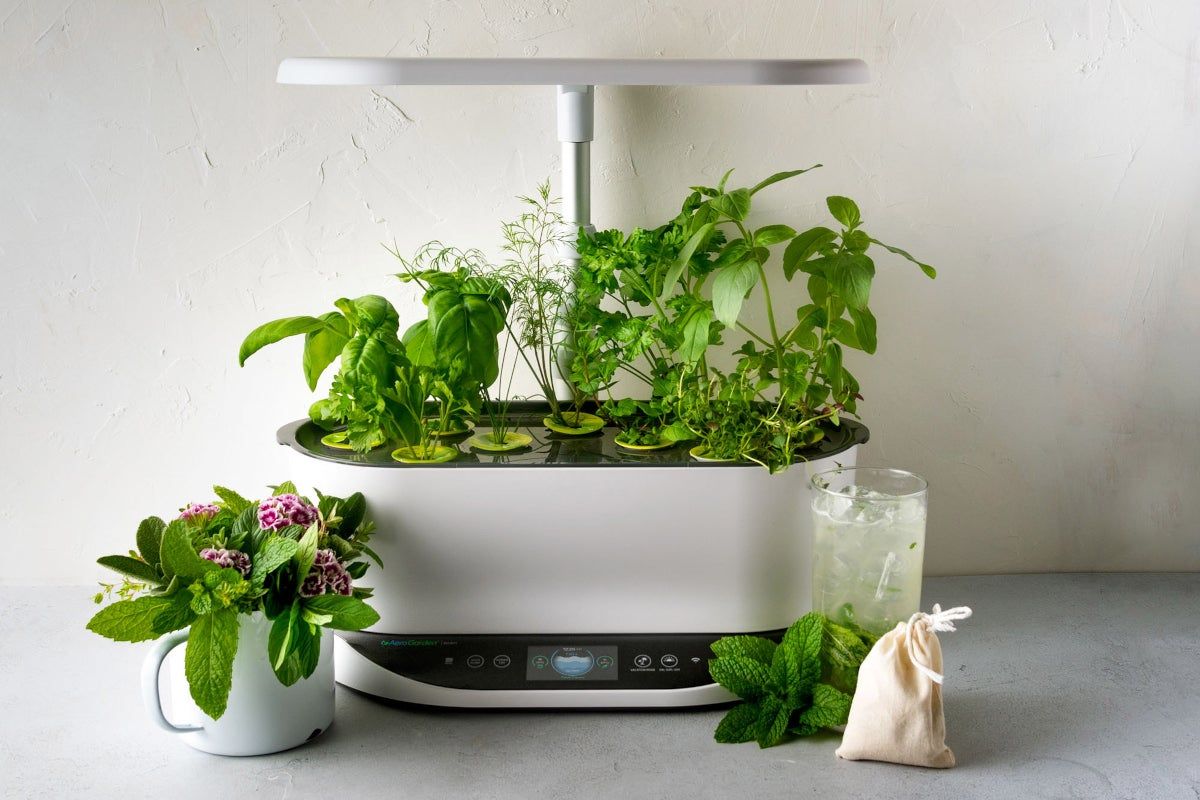 AeroGarden Harvest Review